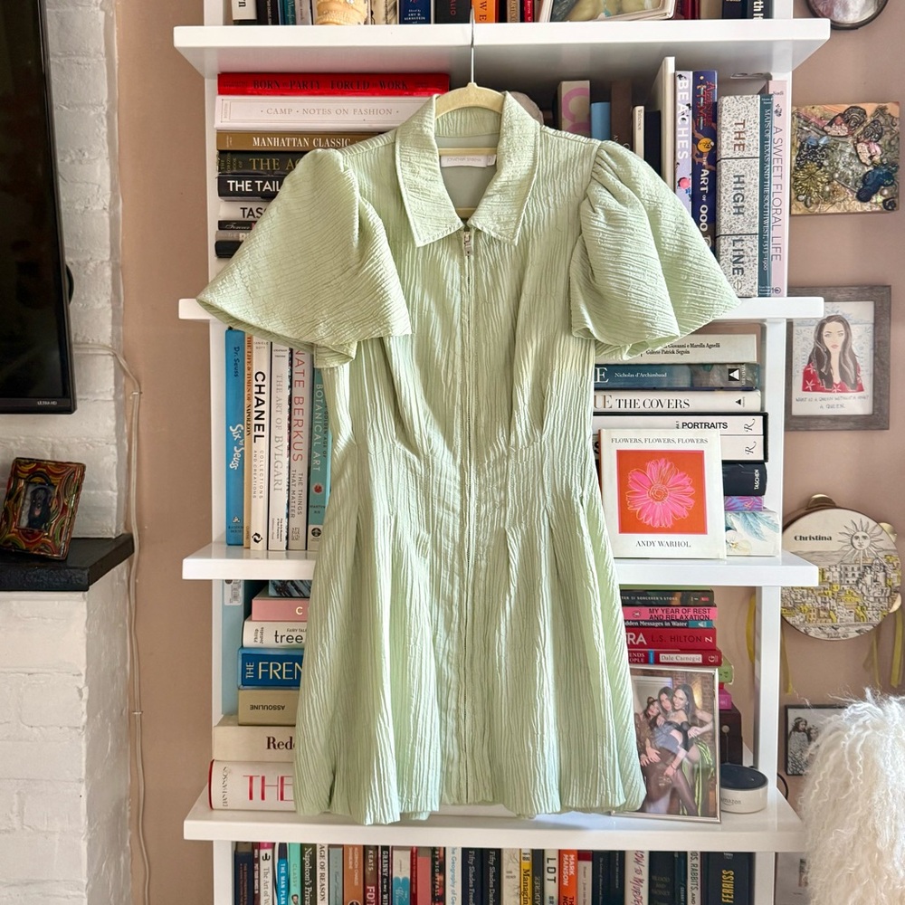 Jonathan Simkhai Green Pleated Mini Dress - Picture 5 of 12